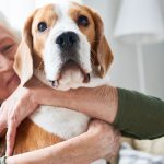 Furry Companions: A Guide to Choosing the Perfect Pet for Your Grandparents